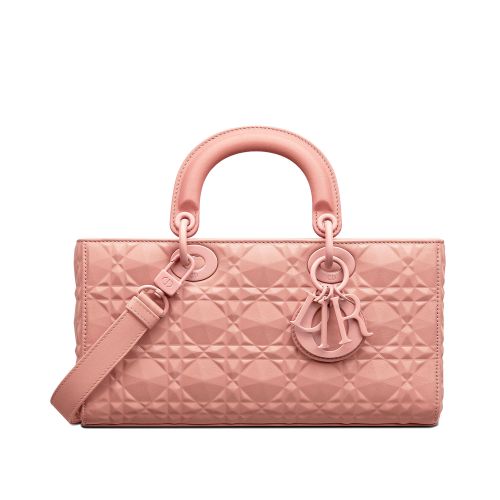 Christian Dior Lady d-Joy Bag 